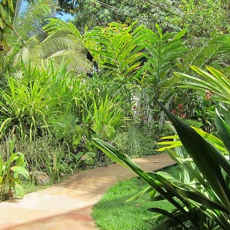 Pousada Coqueiro Verde Itacaré Eksteriør bilde