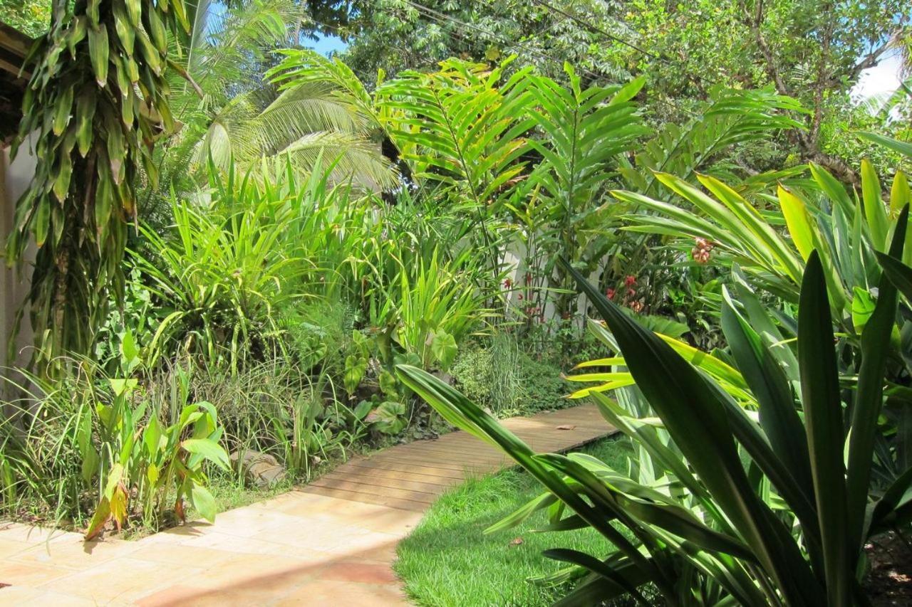 Pousada Coqueiro Verde Itacaré Eksteriør bilde